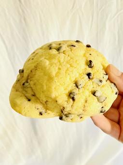 帽子みたいなチョコチップメロンパン パン,メロンパン,チョコチップの写真素材