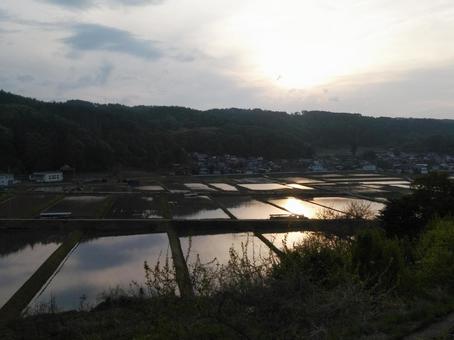 夕日と水田 夕日と水田の写真