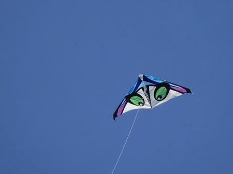 青空に泳ぐ 青空に泳ぐの写真