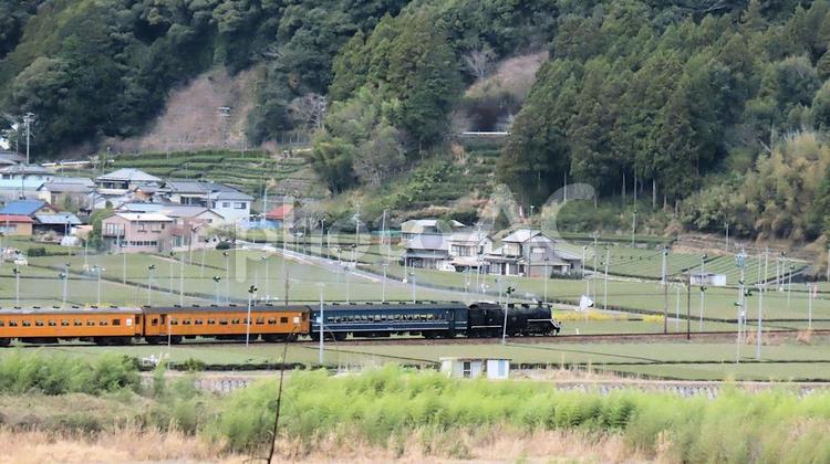 春の川根路を走る蒸気機関車 大井川鐡道,車両,大井川本線の写真素材