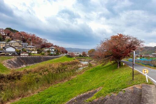奈良県・秋の竜田川 竜田川,秋,川の写真素材