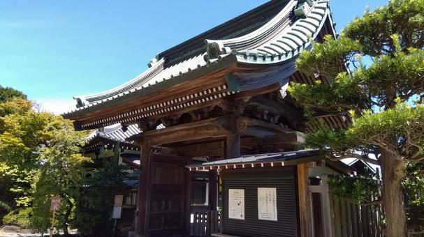 鎌倉_長谷寺_No3 鎌倉_長谷寺_No3 鎌倉,お寺,夏の写真素材