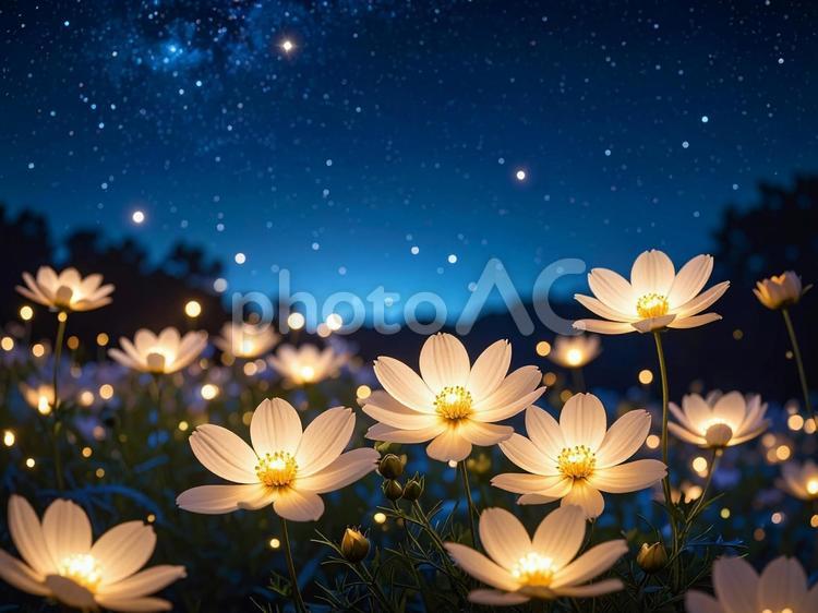 光る花 光る花,発光,花の写真素材
