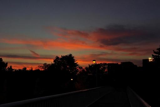 秋のたそがれの歩道橋にて 歩道橋,陸橋,桃山公園の写真素材
