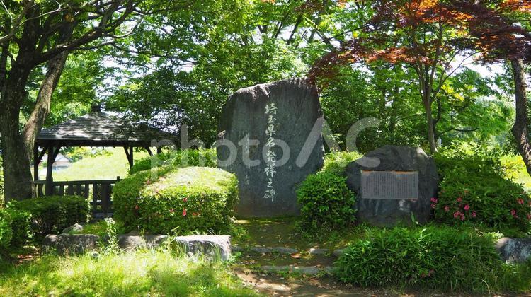 新緑の木と石碑・さきたま古墳公園・行田市 緑色,木,葉の写真素材