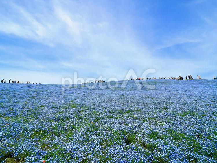 青い世界 空,風景,自然の写真素材