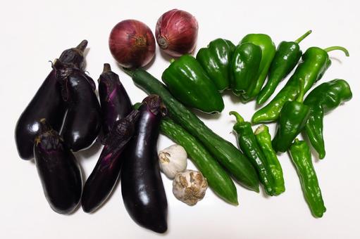 夏野菜の集合写真 夏野菜の集合写真の写真