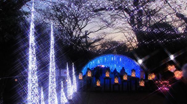 御殿場高原時之栖のイルミネーション イルミネーション,夜景,ライトアップの写真素材