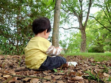 秋の森、枯葉と遊ぶ1歳児 秋の森、枯葉と遊ぶ1歳児の写真