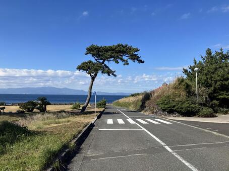伊豆大島の道路風景 大島,伊豆,伊豆大島の写真素材