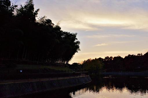 公園の夕景 夕景,たそがれ,残照の写真素材