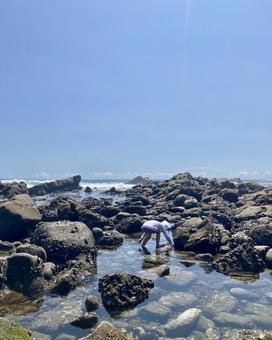 夏休みに磯遊び 夏休みに磯遊び 磯遊び,磯,海の写真素材