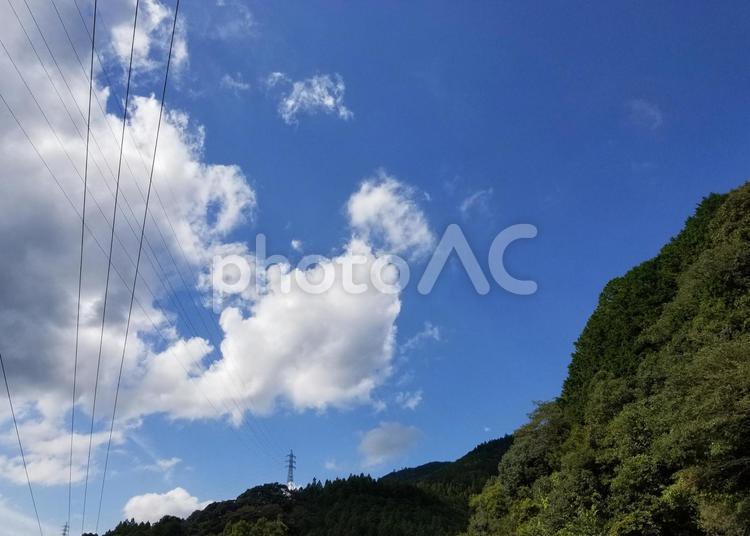 木々と青空と電線 青空,木々,空の写真素材