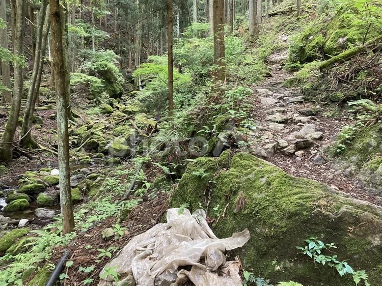 登山道 山道,自然,風景の写真素材