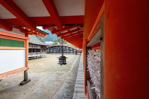 厳島神社の静寂と中庭 厳島神社の静寂と中庭 厳島神社,回廊,廊下の写真素材
