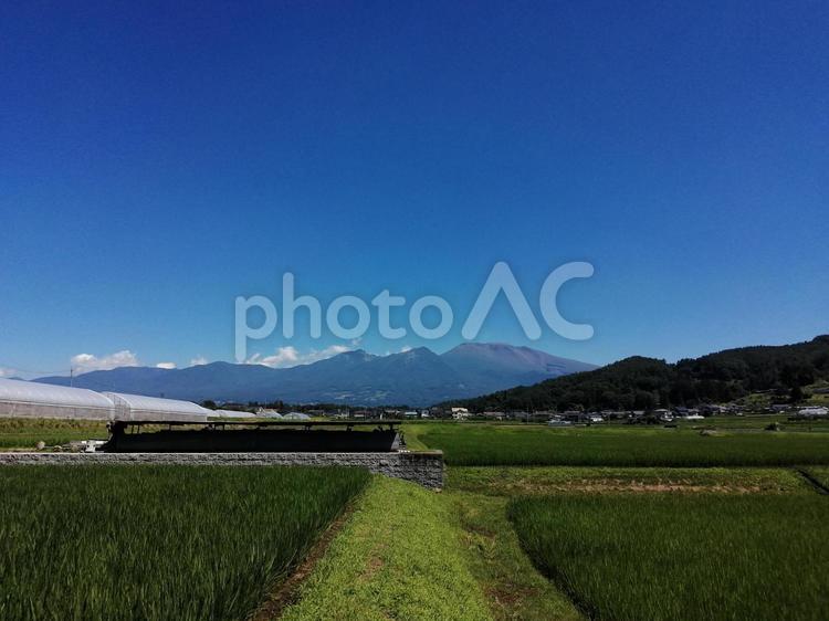 田園風景の先に見える浅間山 浅間山,山,風景の写真素材