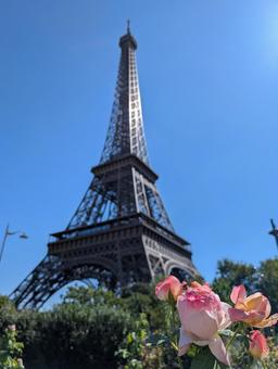 エッフェル塔 エッフェル塔の写真