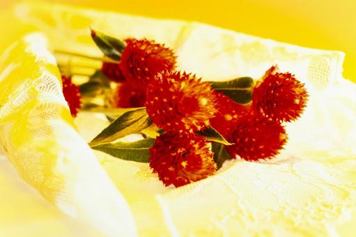 照片, 花束, 生日, 纪念日, 