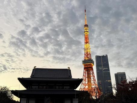 麻布台ヒルズと東京タワーと増上寺 増上寺,東京,タワーの写真素材