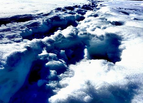 青く光る雪原 雪,雪原,雪道の写真素材