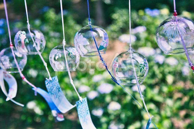 風に揺れる風鈴 風鈴,ガラス,夏の写真素材