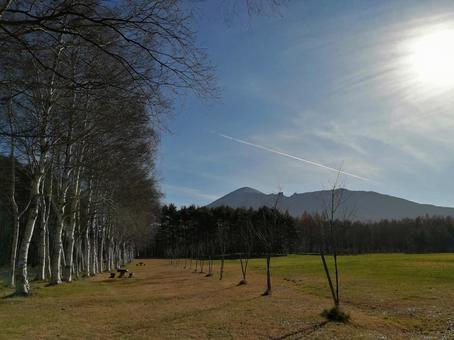 紅葉時期の白樺並木と岩手山 夕日,白樺並木,夕暮れの写真素材