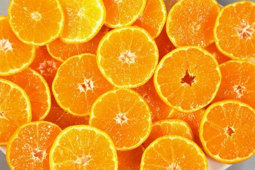 みかん輪切りいっぱい02 みかん,オレンジ,蜜柑の写真素材