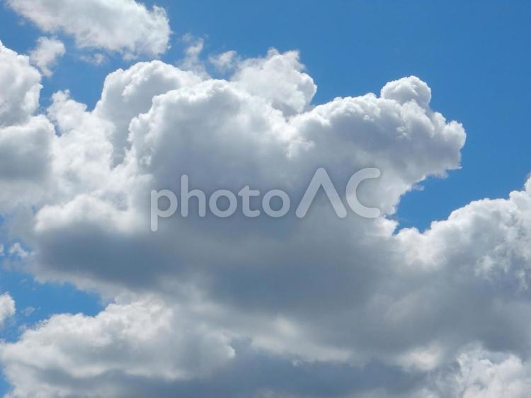 【風景写真】夏空 夏空,空,雲の写真素材