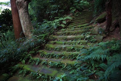 瑞泉寺ー鎌倉ー神奈川県 瑞泉寺ー鎌倉ー神奈川県の写真