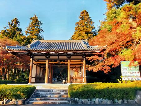 能仁寺の紅葉 能仁寺,紅葉,お寺の写真素材