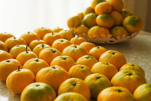 大量みかんの写真