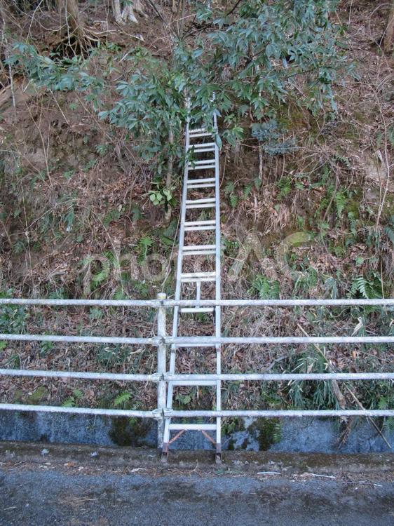 山の斜面に立て掛けられたアルミ製ハシゴ ハシゴ,梯子,山の写真素材