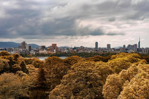 福岡市の風景 福岡市の風景の写真