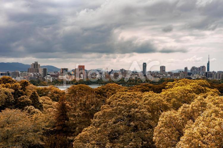 福岡市の風景 福岡市,博多,福岡の写真素材