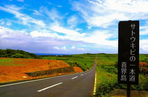 アニメみたいな鮮やか青空と喜界島の一本道 アニメみたいな鮮やか青空と喜界島の一本道の写真
