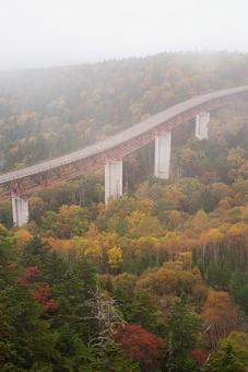 靄のかかる紅葉の森〜北海道三国峠〜 靄のかかる紅葉の森〜北海道三国峠〜 秋,山,絶景の写真素材