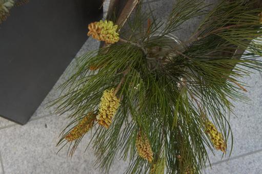 アートフラワー アート,フラワー,デザインの写真素材