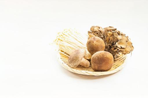 ざるに盛られたキノコ　秋の味覚 きのこ,椎茸,舞茸の写真素材