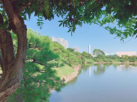 浜離宮 浜離宮 浜離宮恩賜公園,浜離宮,汐留の写真素材