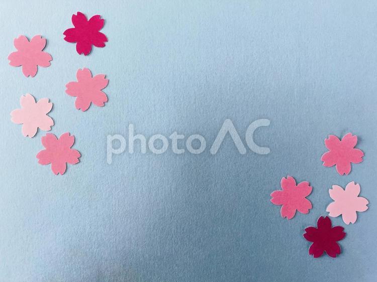 桜の花びらが舞うフレーム・背景１１２ 桜,花びら,フレームの写真素材