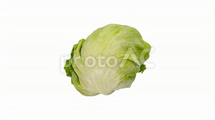 新鮮なレタス（背景透過） レタス,野菜,サラダの写真素材