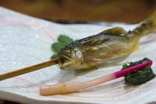 香ばしい鮎の塩焼き 鮎,塩焼き,焼魚の写真素材