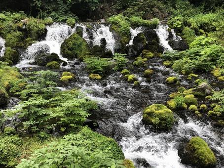 川辺 川辺の写真