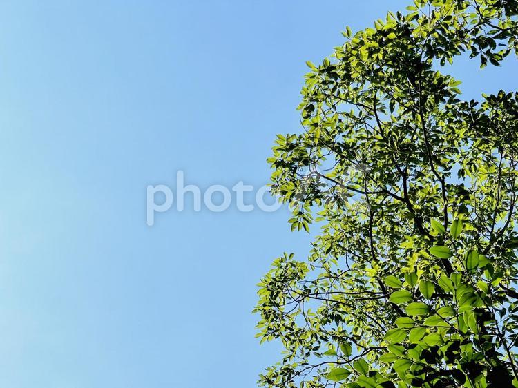 美しい自然風景 空,青空,山の写真素材