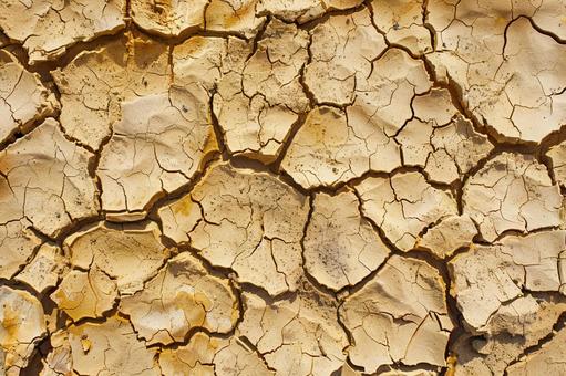 乾いた地面のひび割れテクスチャー背景 乾いた地面のひび割れテクスチャー背景の写真