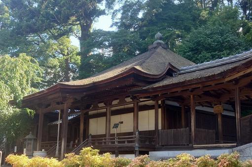 大阪府-金剛寺-五仏堂 大阪府-金剛寺-五仏堂の写真