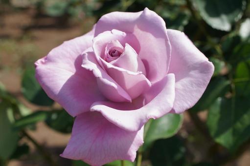 華8 華8の写真
