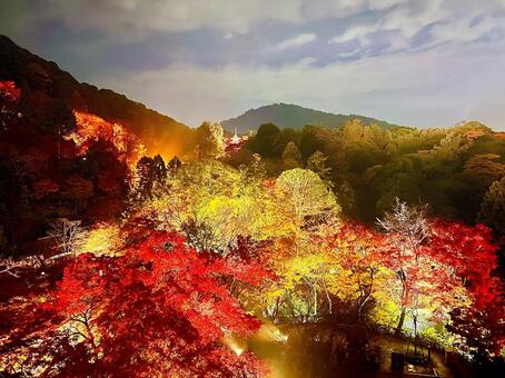 ライトアップされた夜景と紅葉の写真素材 紅葉,ライトアップ,夜景の写真素材