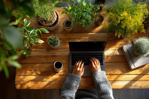 A relaxing space where you can work while feeling nature, home office, remote work, in the house service, JPG