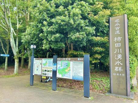 柿田川公園 柿田川公園の写真